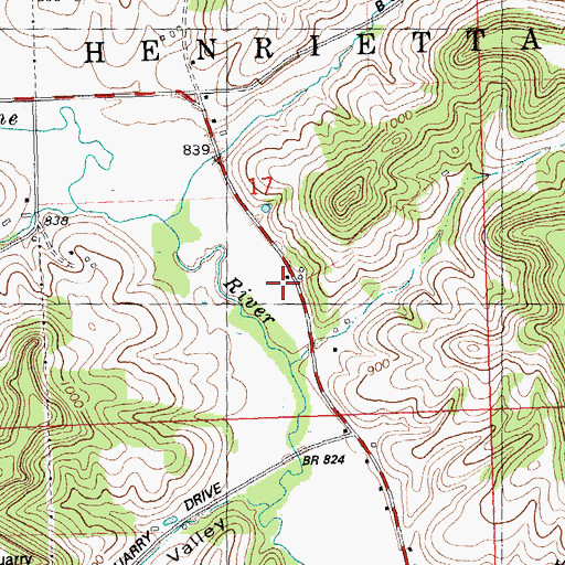 Topographic Map of Pine River View Farm, WI