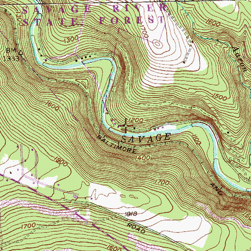 Topographic Map of Savage River Full Gospel Church, MD