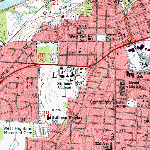 Topographic Map of Williamson Prayer Chapel, AL