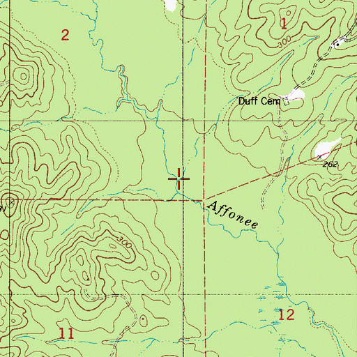 Topographic Map of Bill Branch, AL