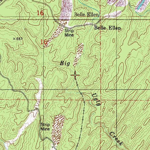 Topographic Map of Nash Town (historical), AL