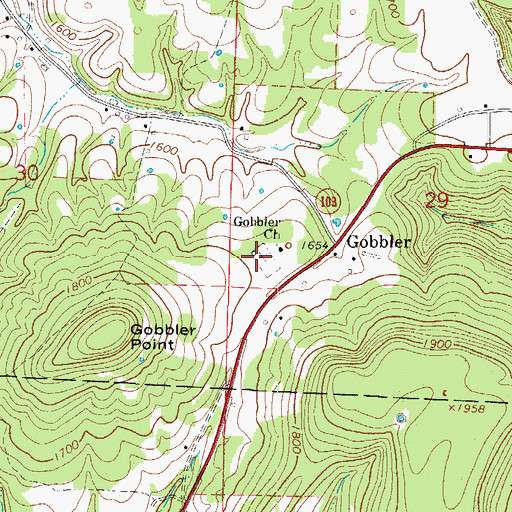 Topographic Map of Gobbler Cemetery, AR