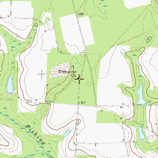 Topographic Map of Damascus Cemetery, GA