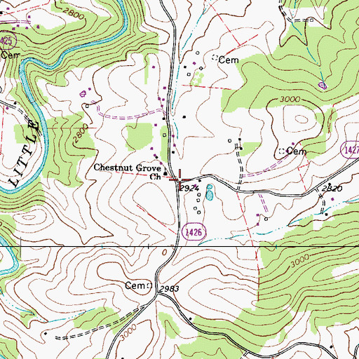 Topographic Map of Chestnut Grove, NC