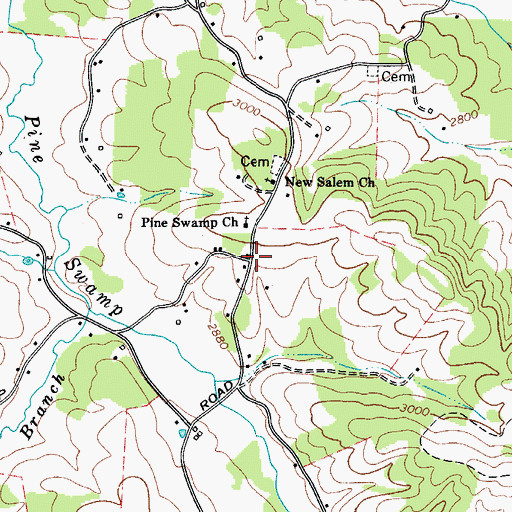 Topographic Map of Pine Swamp, NC