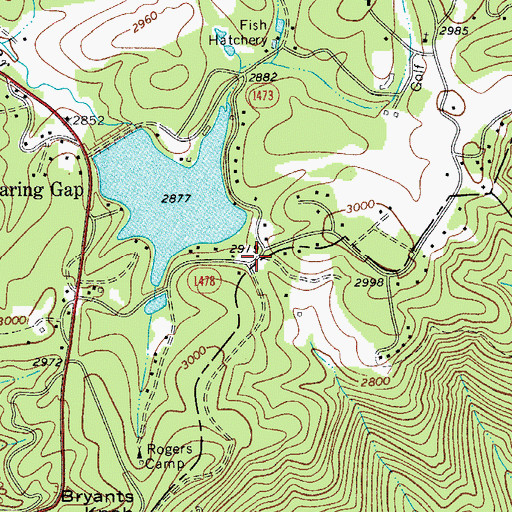 Topographic Map of Roaring Gap, NC