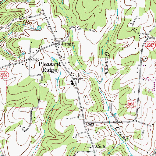Topographic Map of Pleasant Grove Church (historical), NC