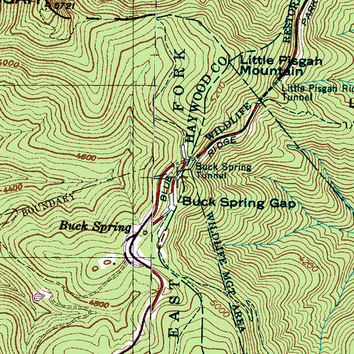 Topographic Map of Buck Springs Lodge (historical), NC