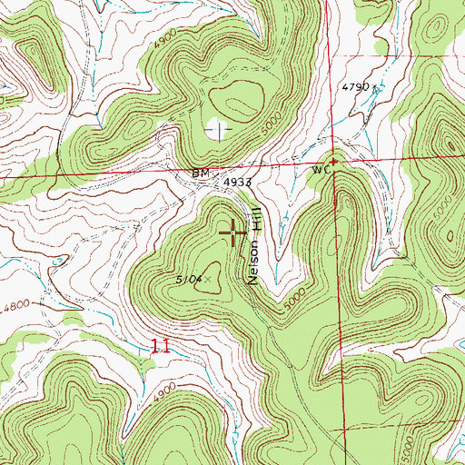 Topographic Map of Nelson Hill, CO