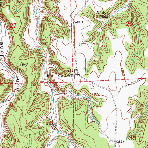 Topographic Map of Fan Top Tree, CO