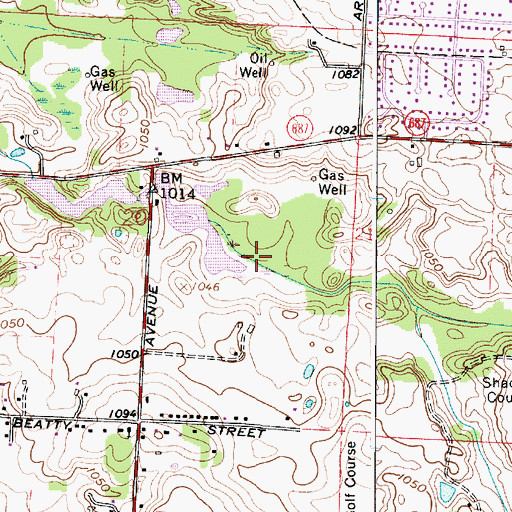 Topographic Map of Jackson Bog, OH