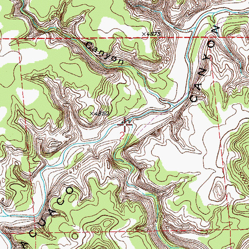 Topographic Map of Lions Canyon, CO