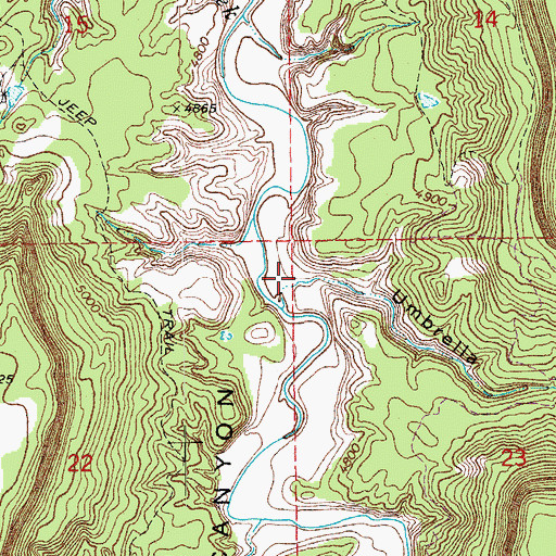Topographic Map of Umbrella Canyon, CO
