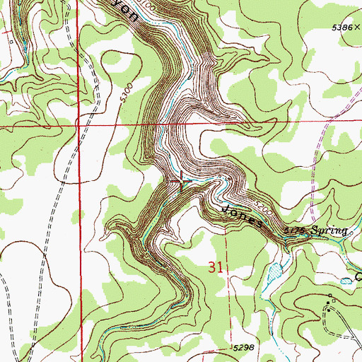 Topographic Map of Jones Canyon, CO