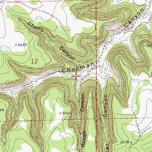 Topographic Map of Rough Canyon, CO