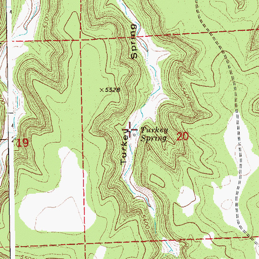 Topographic Map of Turkey Spring, CO