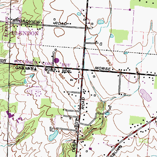 Topographic Map of Stone Ridge Plaza Shopping Center, OH