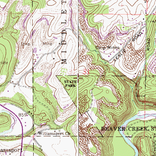 Topographic Map of Pine Ridge Trail, OH
