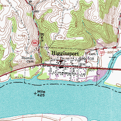Topographic Map of Higginsport School, OH