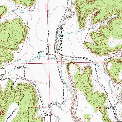 Topographic Map of Little Mustang Creek, CO