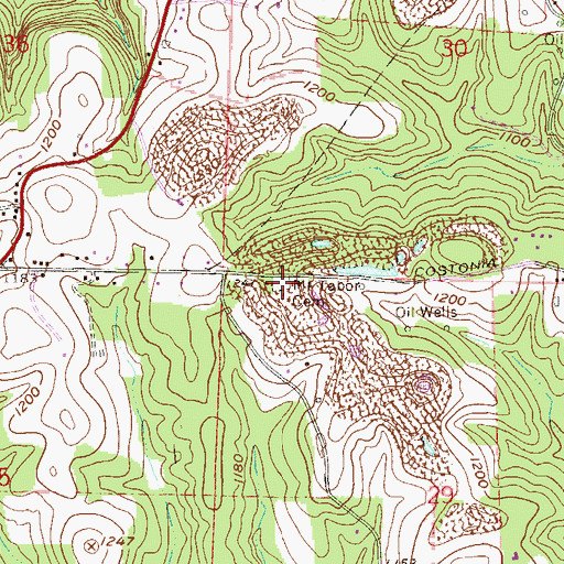 Topographic Map of Mount Tabor Cemetery, OH