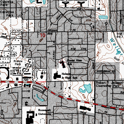 Topographic Map of Forest View Elementary School, IL