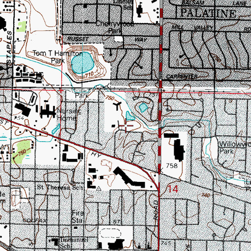 Topographic Map of Palatine Public Library, IL