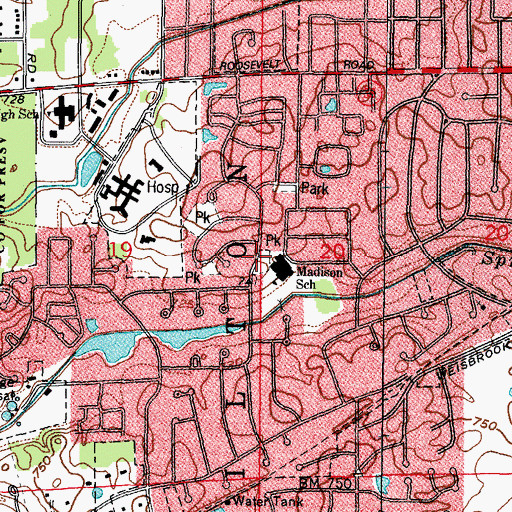 Topographic Map of Madison Park, IL