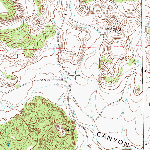 Topographic Map of Cotton Canyon, CO