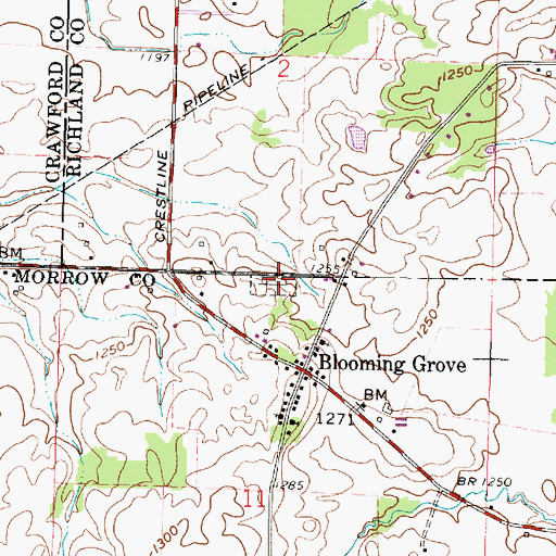 Topographic Map of Blooming Grove Cemetery, OH