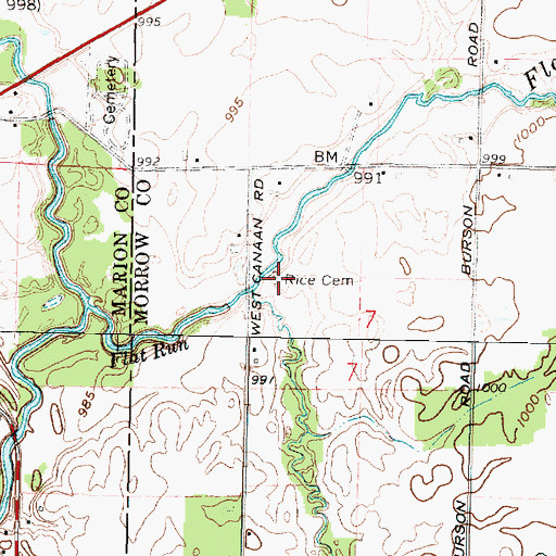 Topographic Map of Rice Cemetery, OH