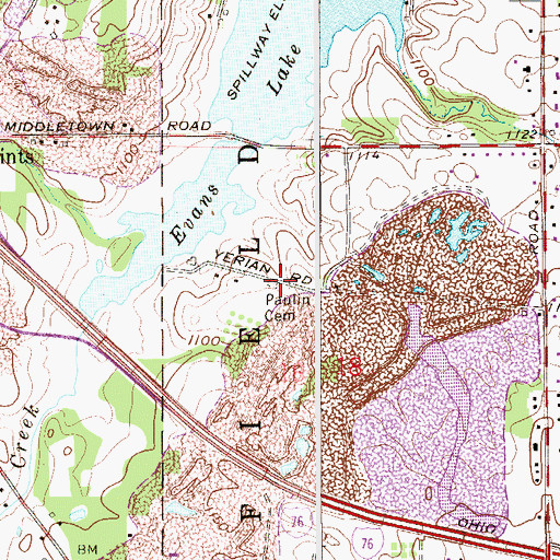 Topographic Map of Paulin Cemetery, OH