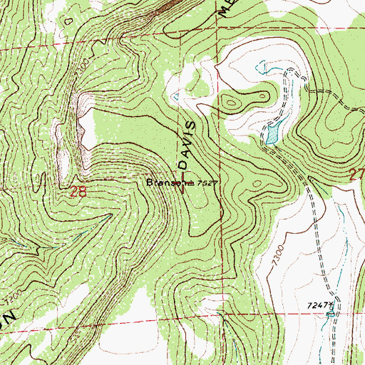 Topographic Map of Davis Mesa, NM