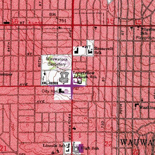 Topographic Map of Lutheran Altenheim, WI