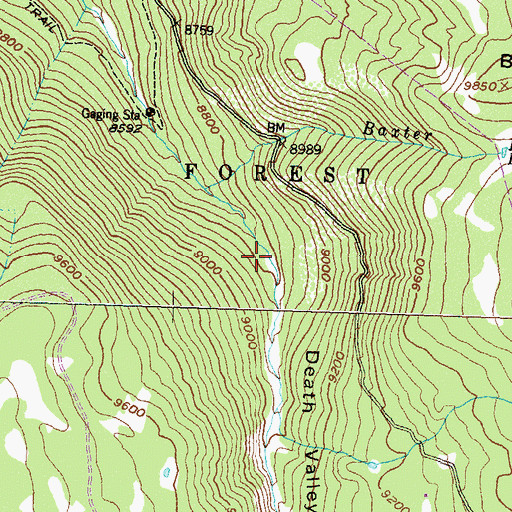 Topographic Map of Pretty Creek, CO