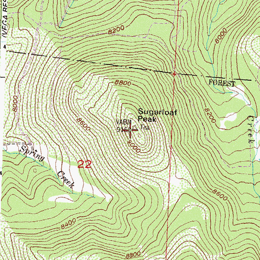 Topographic Map of Sugarloaf Peak, CO