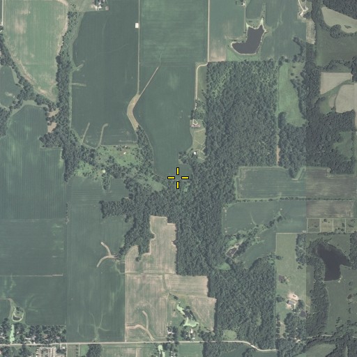 Aerial/Satellite Image of McClure Cemetery, IL