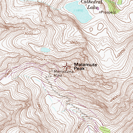 Topographic Map of Malemute Peak, CO