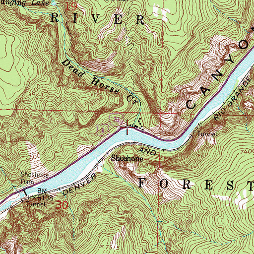 Topographic Map of Dead Horse Creek, CO