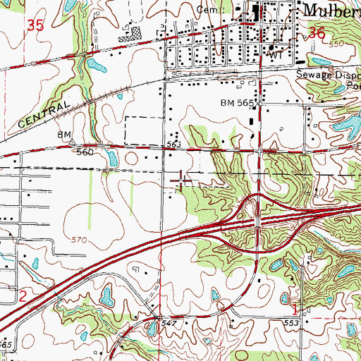Topographic Map of Mulberry Grove Cemetery, IL