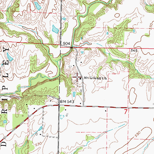 Topographic Map of Mount Gilead Cemetery, IL