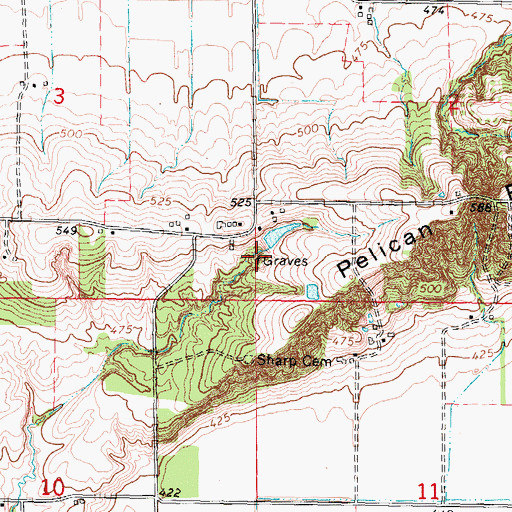 Topographic Map of Johnson Cemetery, IL
