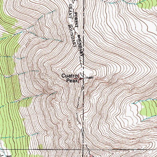 Topographic Map of Cuatro Peak, CO