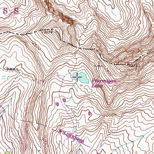 Topographic Map of Ptarmigan Lake, CO