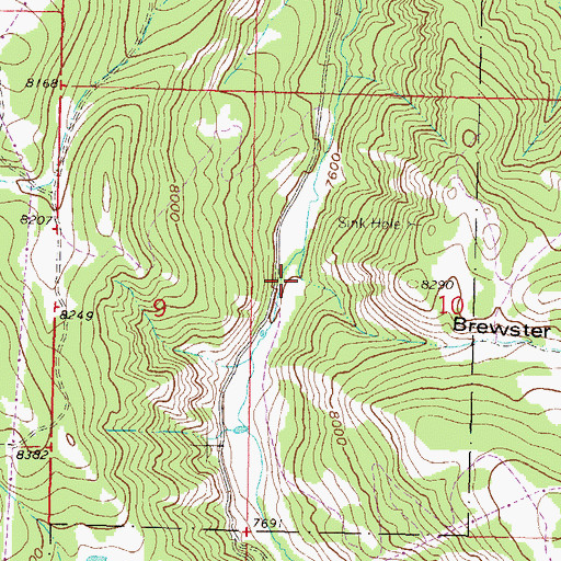 Topographic Map of Brewster Gulch, CO