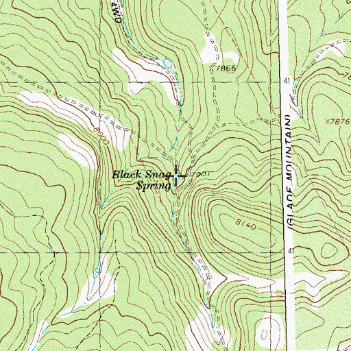 Topographic Map of Black Snag Spring, CO