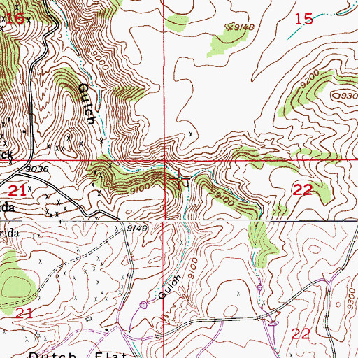Topographic Map of Cottonwood Gulch, CO