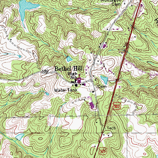 Topographic Map of Bethel Hill High School, NC