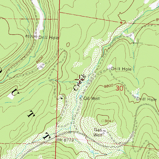 Topographic Map of Rich Ditch, CO