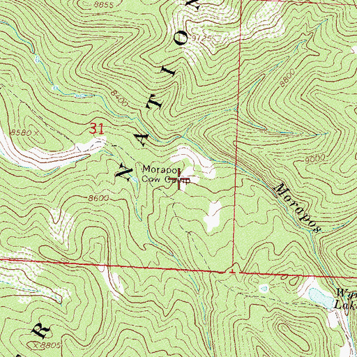 Topographic Map of Morapos Cow Camp, CO